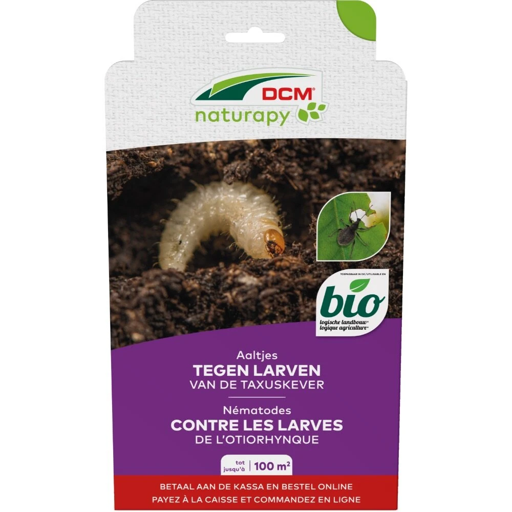 DCM Aaltjes Tegen Larven Van De Taxuskever (Kraussi-Guard®) - Bestelcode - 100 M² (50 Mio. Aaltjes) 1 DCM Aaltjes Tegen Larven Van De Taxuskever (Kraussi-Guard®) - Bestelcode - 100 M² (50 Mio. Aaltjes)