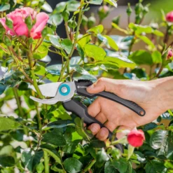 GARDENA EcoLine Snoeischaar -Aanbiedingen Tuin Stijl Winkel gardena ecoline snoeischaar 1500x1000 640af830a9262 l