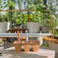 GARDENA FreshCut Set -Aanbiedingen Tuin Stijl Winkel gardena freshcut set 1500x1000 640af81aaa70a l