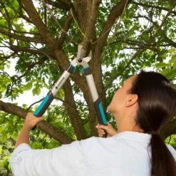 GARDENA Takkenschaar EasyCut 500 B 5 GARDENA Takkenschaar EasyCut 500 B -Aanbiedingen Tuin Stijl Winkel gardena takkenschaar easycut 500 b 1500x1000 640af7e5d4f80 l