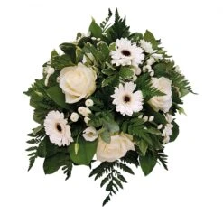 Innig Medeleven, 30cm