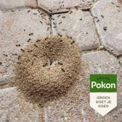 Pokon Tegen Mieren Korrels 400gr 9 Pokon Tegen Mieren Korrels 400gr -Aanbiedingen Tuin Stijl Winkel pokon tegen mieren korrels 400gr 1000x1000 6221fb52c5ede l