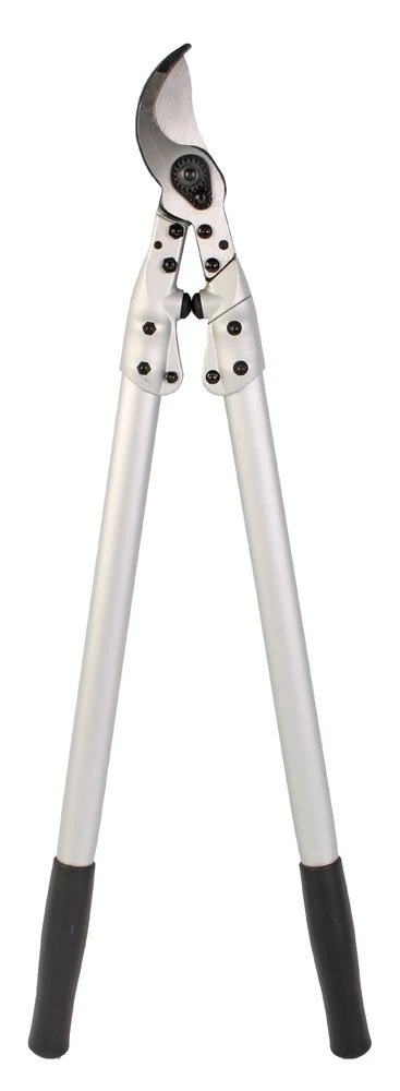 Talen Tools Takkenschaar Professioneel Gesmeed 1 Talen Tools Takkenschaar Professioneel Gesmeed