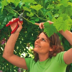 WOLF-Garten Aambeeld Snoeischaar Comfort Plus RS2500 5 WOLF-Garten Aambeeld Snoeischaar Comfort Plus RS2500 -Aanbiedingen Tuin Stijl Winkel wolf garten aambeeld snoeischaar comfort plus rs2500 1619177787 1 l