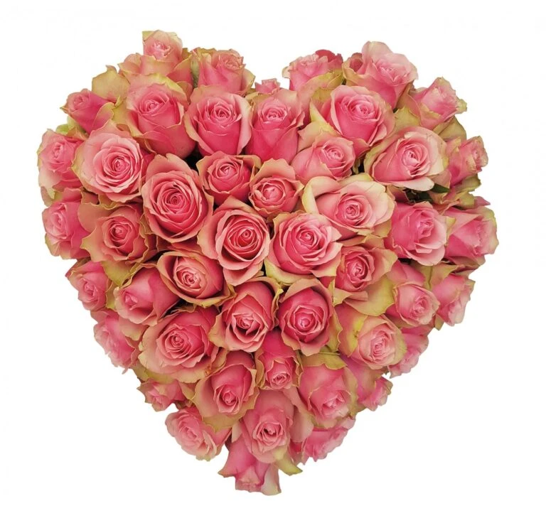 Aanbiedingen Tuin Stijl Winkel 12 Aanbiedingen Tuin Stijl Winkel -Aanbiedingen Tuin Stijl Winkel hartstocht 28cm 1611847815 l 768x736 1